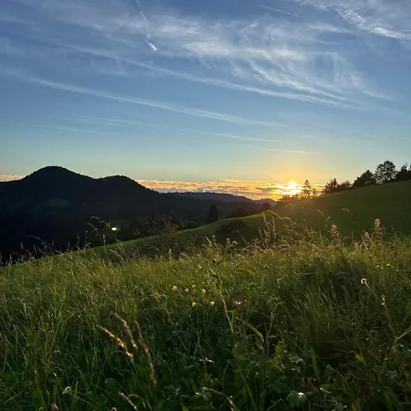 Farm stay Domacija Blazevc Ziri