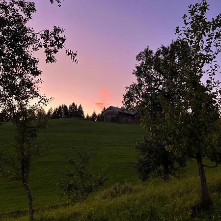 Domacija Blazevc Ziri