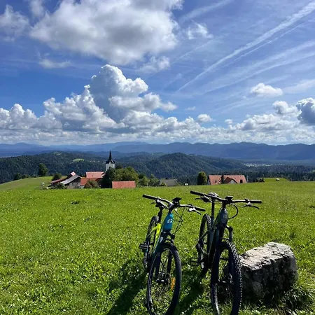 Domacija Blazevc Ziri