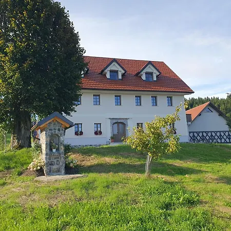 Gospodarstwo agroturystyczne Domacija Blazevc *