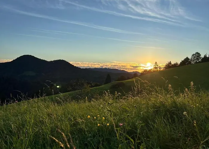 ファームステイ Domacija Blazevc Žiri