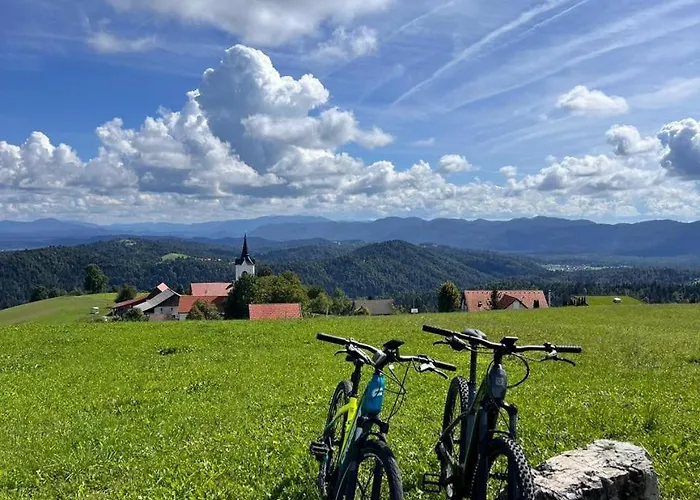 Domacija Blazevc Ziri